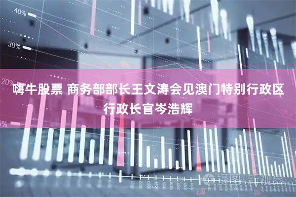嗨牛股票 商务部部长王文涛会见澳门特别行政区行政长官岑浩辉