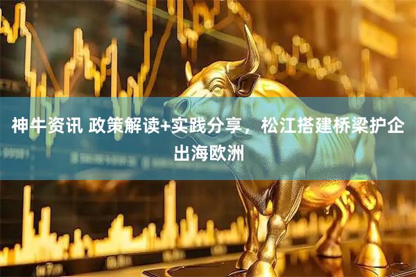 神牛资讯 政策解读+实践分享，松江搭建桥梁护企出海欧洲