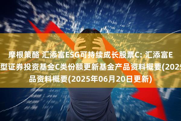 摩根策酪 汇添富ESG可持续成长股票C: 汇添富ESG可持续成长股票型证券投资基金C类份额更新基金产品资料概要(2025年06月20日更新)