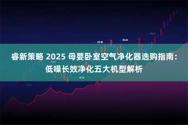 睿新策略 2025 母婴卧室空气净化器选购指南：低噪长效净化五大机型解析