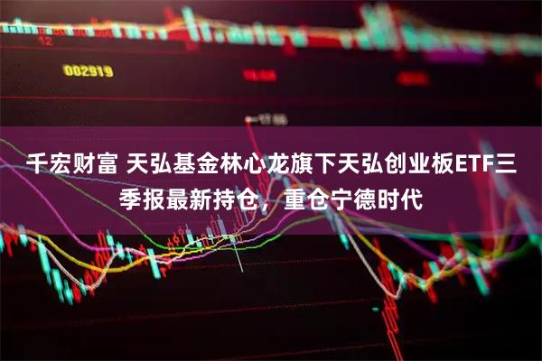 千宏财富 天弘基金林心龙旗下天弘创业板ETF三季报最新持仓，重仓宁德时代